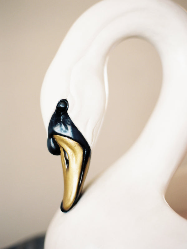 Emma Jane & Her Swan