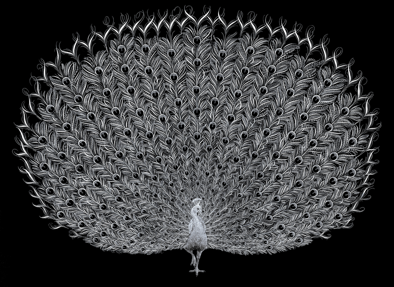 Plume