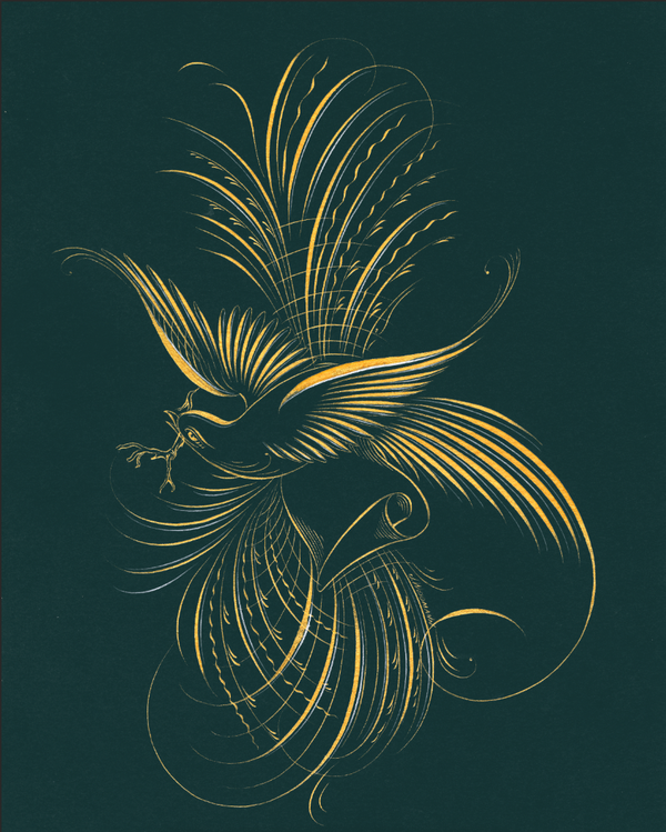 The Messenger | Bird Flourish ORIGINAL