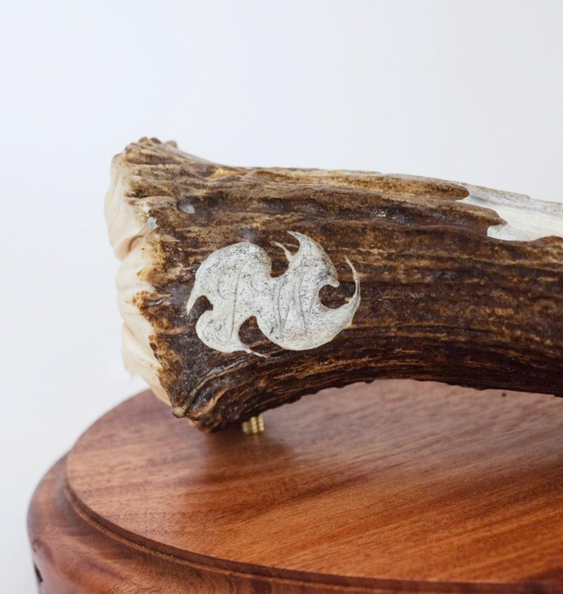 Wilderness | Antler Carving | ORIGINAL