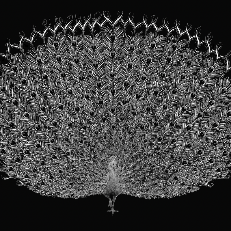 Plume