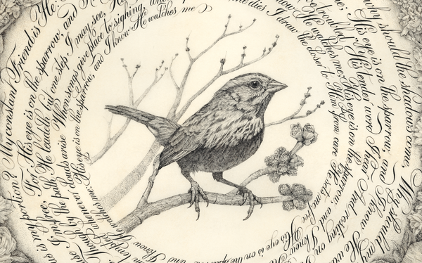 His Eye is On the Sparrow